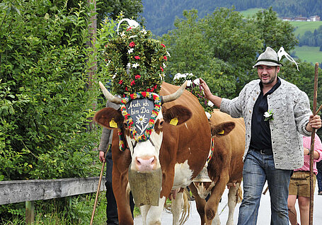 Almabtrieb, (c) Alpbachtal Tourismus/Grießenböck Gabriele