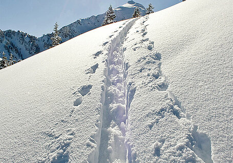 Alpbach, Tiefschnee, Skitourengeher, (c) Alpbachtal Tourismus/Berger Bernhard