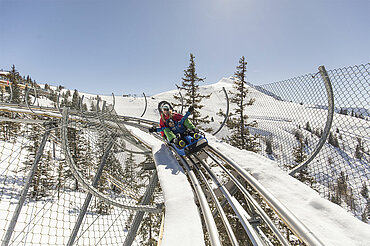 Alpine Coaster 'Lauser-Sauser' am Wiedersbergerhorn, (c) Ski Juwel Alpbachtal Wildschönau