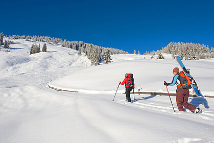 Alpbach, Inneralpbach, Lueger Graben, Skitourengeher, (c) Alpbachtal Tourismus/Berger Bernhard