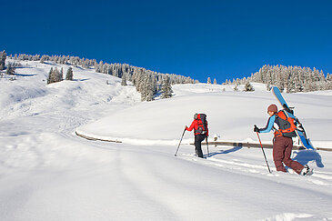 Alpbach, Inneralpbach, Lueger Graben, Skitourengeher, (c) Alpbachtal Tourismus/Berger Bernhard