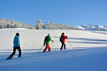  Reither Kogel, Schneeschuh Wanderung, (c) Alpbachtal Tourismus/Wegscheider Eva