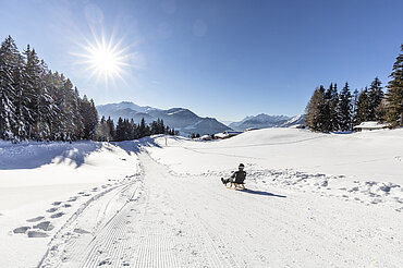 Reither Kogel, Rodeln, Panoramaweg, (c) Alpbachtal Tourismus/shootandstyle.com