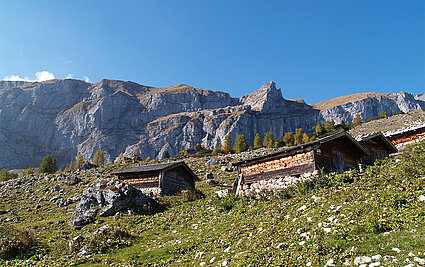 Zireiner Almen, (c) Alpbachtal Tourismus/Berger Bernhard