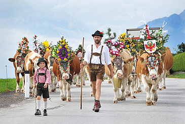 Almabtrieb, Reith im Alpbachtal, (c) Alpbachtal Tourismus/Grießenböck Gabriele