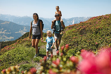 Panoramaweg Wiedersbergerhorn Alpbach Familie mit Almrosen Sommer, (c) Alpbachtal Tourismus, Mathäus Gartner