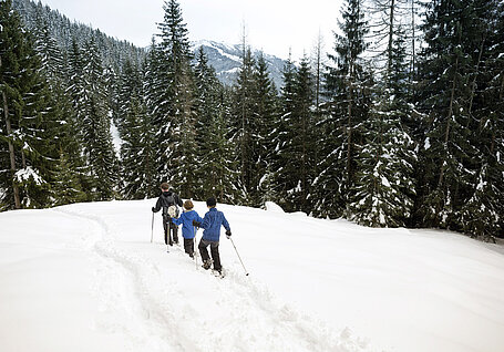 Bischoferalm, Schneeschuhwanderung, (c) Alpbachtal Tourismus/Koy Thomas