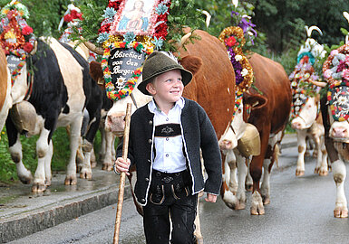 Almabtrieb, (c) Alpbachtal Tourismus/Grießenböck Gabriele