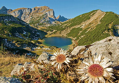 Zireiner See Herbststimmung, (c) Alpbachtal Tourismus/Bernhard Berger