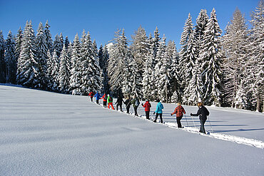  Reither Kogel, Schneeschuh Wanderung, (c) Alpbachtal Tourismus/Wegscheider Eva