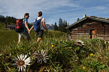 Herbstwanderung, (c) Alpbachtal Tourismus/Berger Bernhard