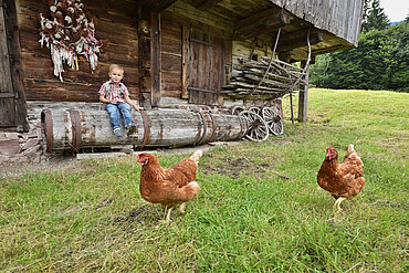 Kind mit Hühner im Museum Tiroler Bauernhöfe, (c) Alpbachtal Tourismus / Grießenböck Gabriele