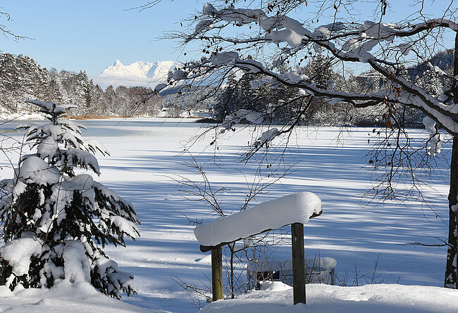 Reintalersee viewed from the western shore, (c) Alpbachtal Tourismus/Berger Bernhard