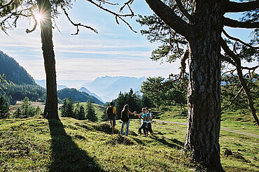 Herbstwanderung, (c) Alpbachtal Tourismus/Berger Bernhard