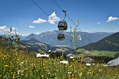 Alpbach, Wiedersbergerhornbahn, Sommer, (c) Alpbachtal Tourismus/Grießenböck Gabriele