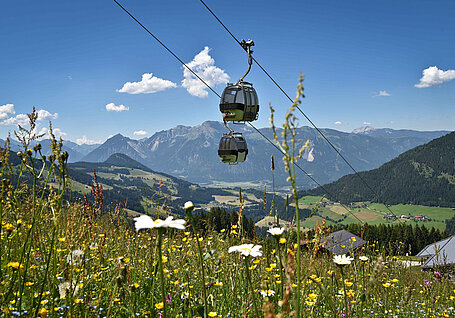 Alpbach, Wiedersbergerhornbahn, Sommer, (c) Alpbachtal Tourismus/Grießenböck Gabriele